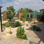 https://mcpropertieslosalcazares.com/wp-content/uploads/2022/07/IMG_0978-1024x768-1.jpg