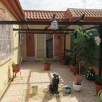 https://mcpropertieslosalcazares.com/wp-content/uploads/2022/07/IMG_0979-1024x768-1.jpg
