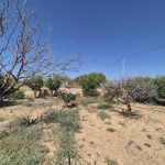 https://fuentealamorealestate.com/wp-content/uploads/2025/08/20250807_113324.jpg
