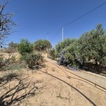 https://fuentealamorealestate.com/wp-content/uploads/2025/08/20250807_113427.jpg