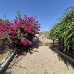https://fuentealamorealestate.com/wp-content/uploads/2025/08/20250807_113558.jpg