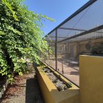 https://fuentealamorealestate.com/wp-content/uploads/2025/08/20250807_113604.jpg