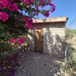https://fuentealamorealestate.com/wp-content/uploads/2025/08/20250807_113615.jpg