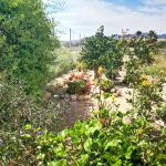 https://fuentealamorealestate.com/wp-content/uploads/2025/07/Garden-2.jpg